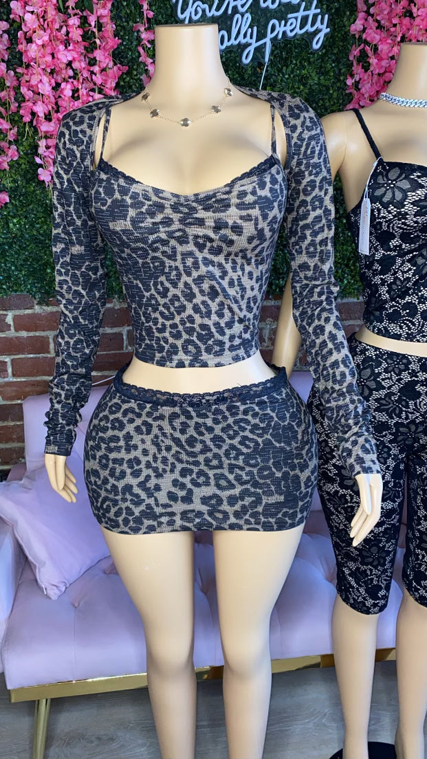 Cheetah 4pc Set